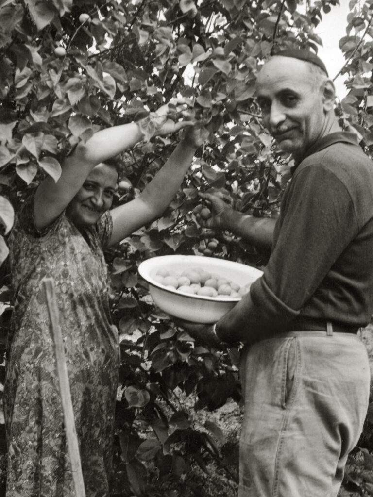 Yihia and Sultana Simhi