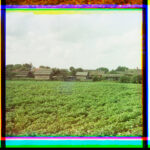 Drissa. General view from the northeast - color