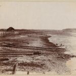 Village Studenka. Borisov Region, Napoleon's crossing, Battle, Berezina River.