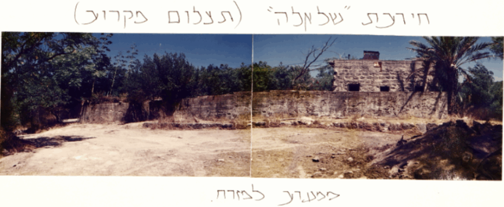 חרבת שלאלה יערות הכרמל ספר האורחים