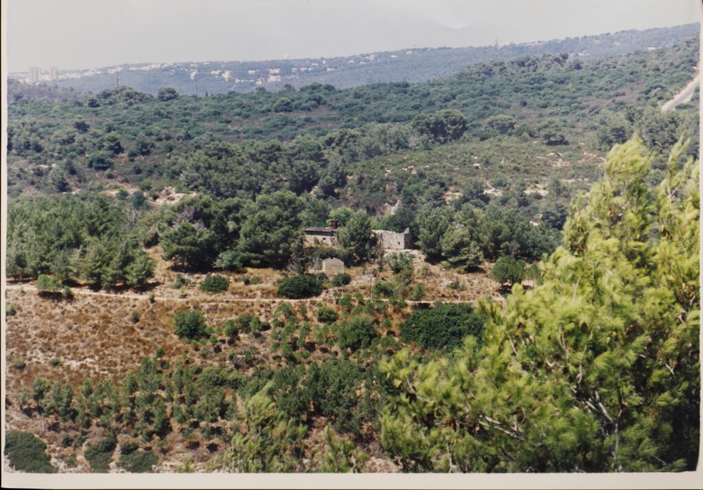 גבעת שלאללה במבט מגבעת וולפסון במבט מדרום מזרח לצפון מערב, שם נראים בתיה של שכונת דניה