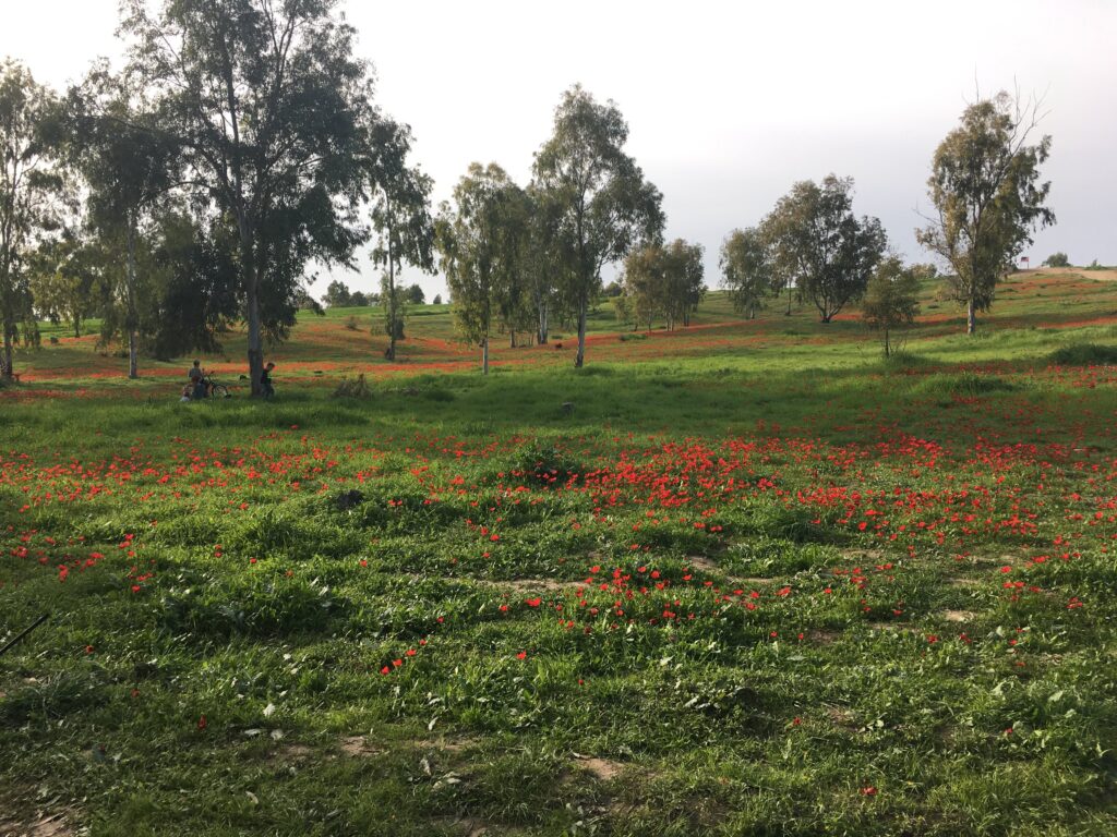 [:en]ביקור בבארי 2013[:]