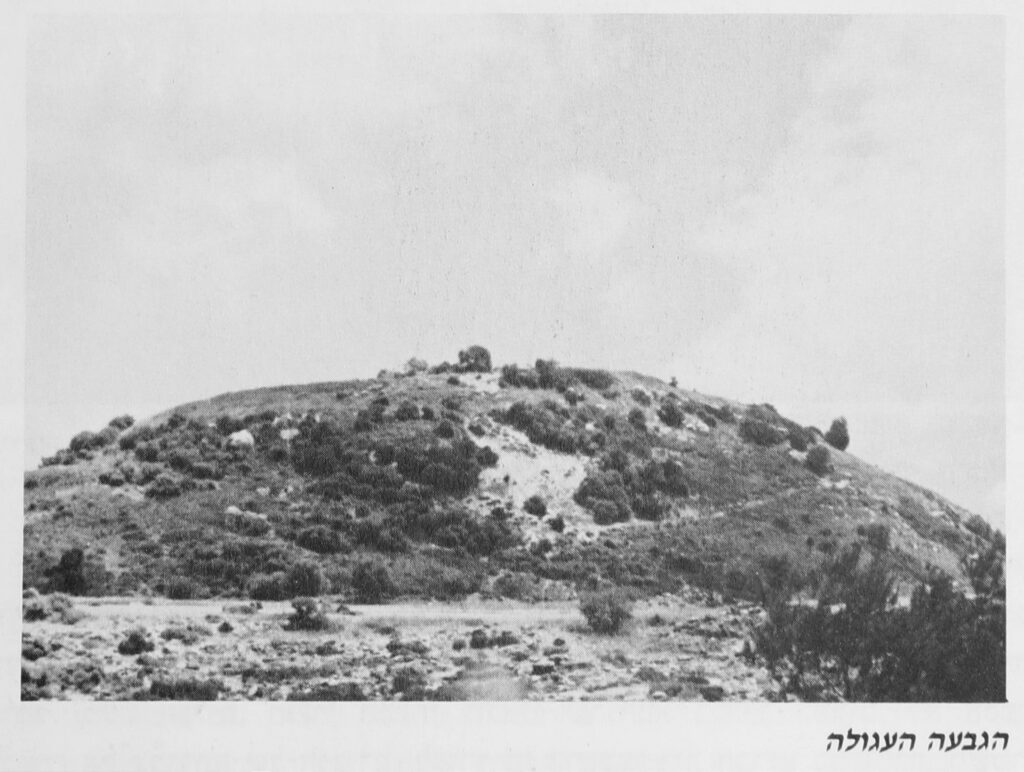 הגבעה העגולה יערות הכרמל ספר האורחים