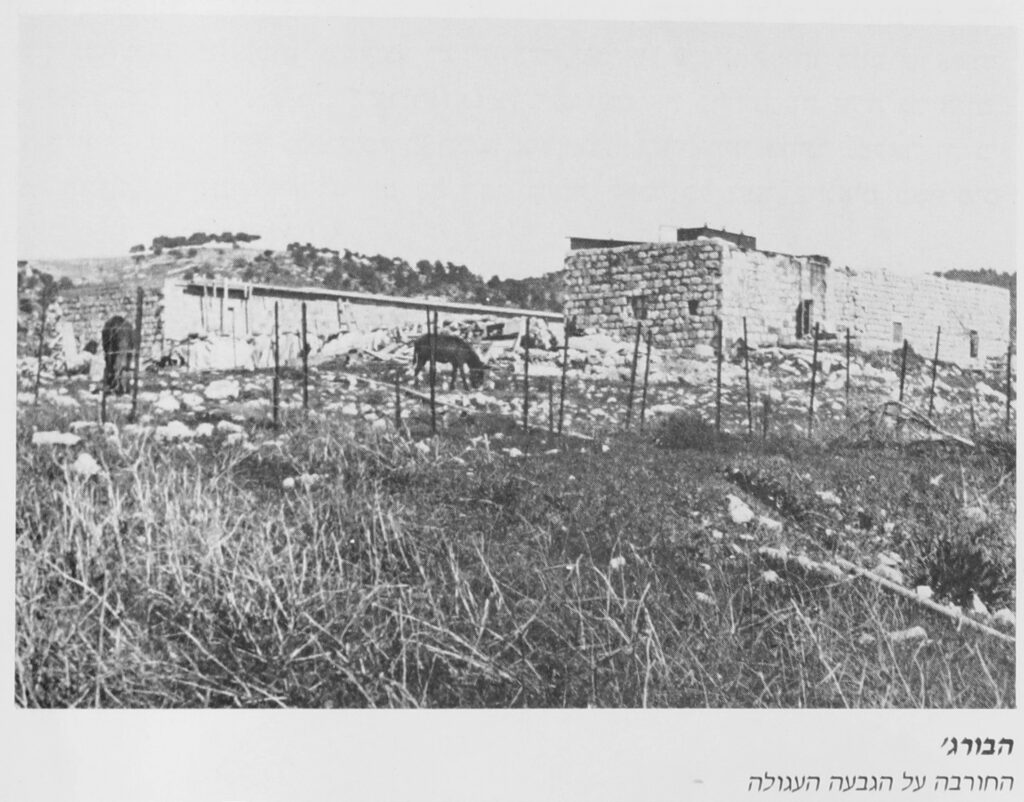 הרחבה על הגבעה העגולה