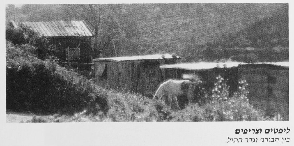 ליפטים וצריפים יערות הכרמל ספר האורחים