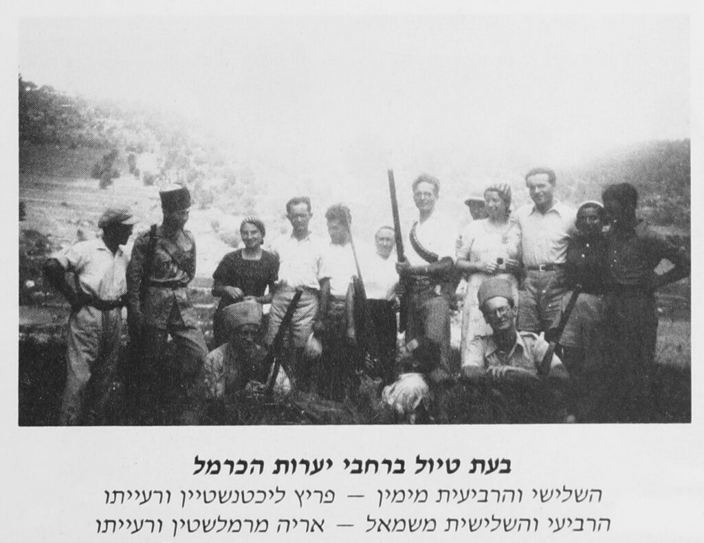 בעת טיול ברחב יערות הכרמל