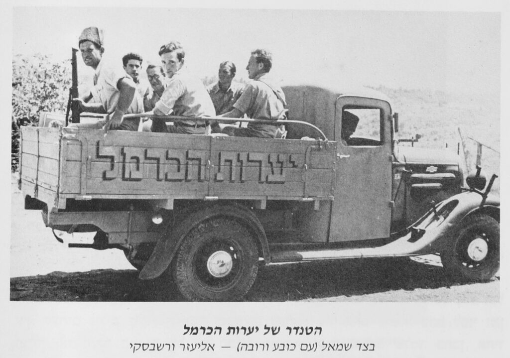 הטנדר של יערות הכרמל