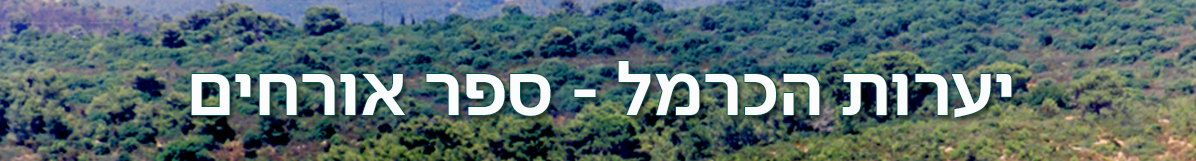 יערות הכרמל ספר האורחים חדש