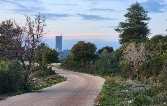 אוניברסיטבע -מצלמים יחד טבע אוניברסיטאי