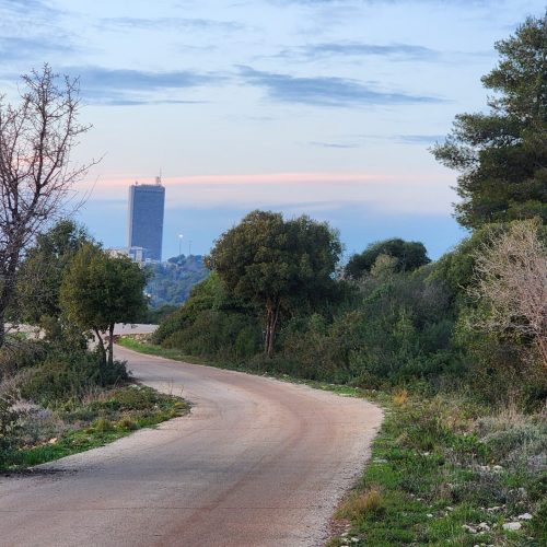 אוניברסיטבע - ד"ר אדיר אדלר מקום ראשון